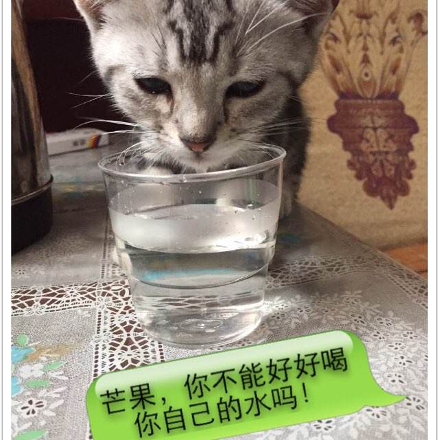 AccademiadiBelleArtidiFoggia教育部认证办理